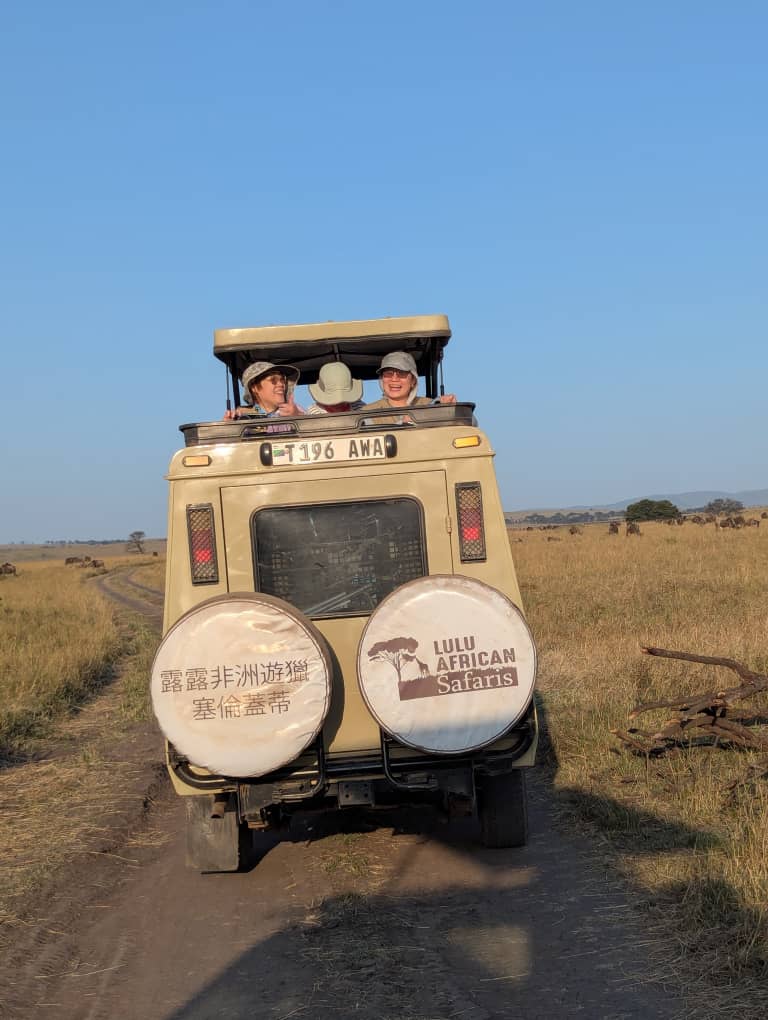 Comfort Safari cover