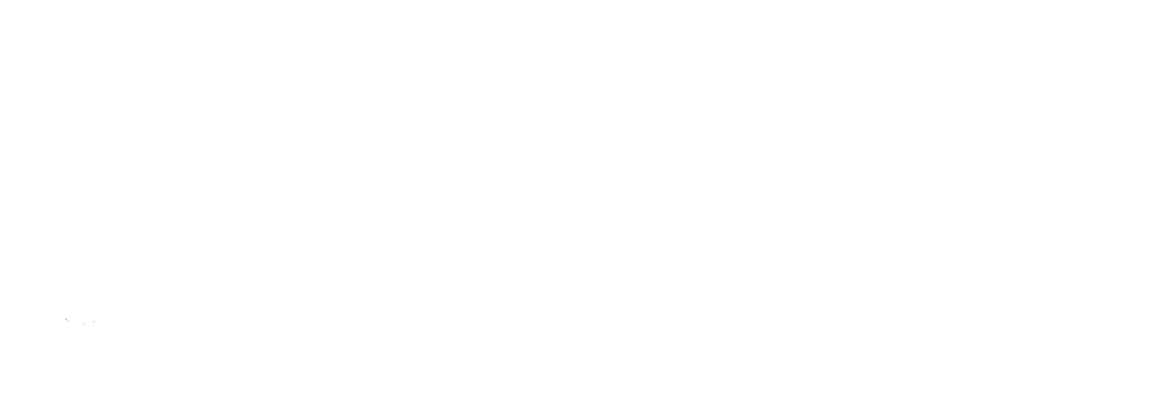 Lulu African Safaris